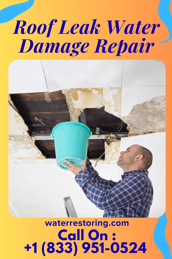 Roof Leak Water Damage Repair in Noble, LA