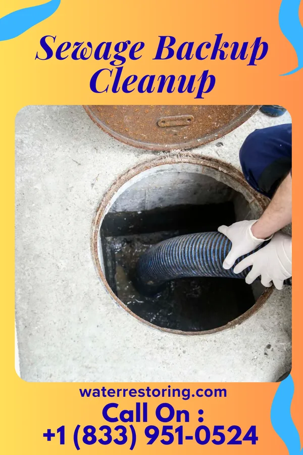 Sewage Backup Cleanup in Noble, LA