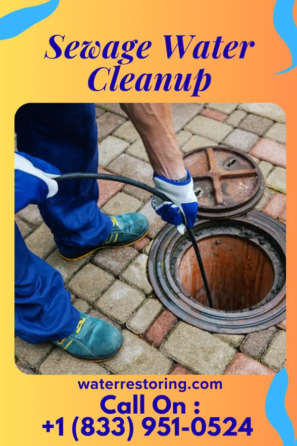 Sewage Water Cleanup in Noble, LA